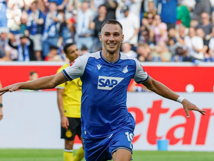 Hoffenheim vs Hamburger SV - prediction, team news, lineups