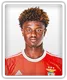 Luis Semedo