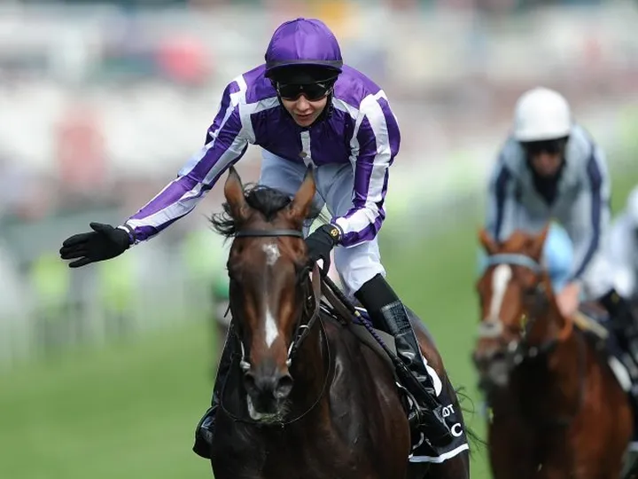 Epsom Derby winner Camelot undergoes surgery