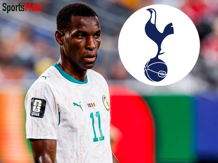 Nico or Nic-no? Jackson to Tottenham transfer 'truth' revealed