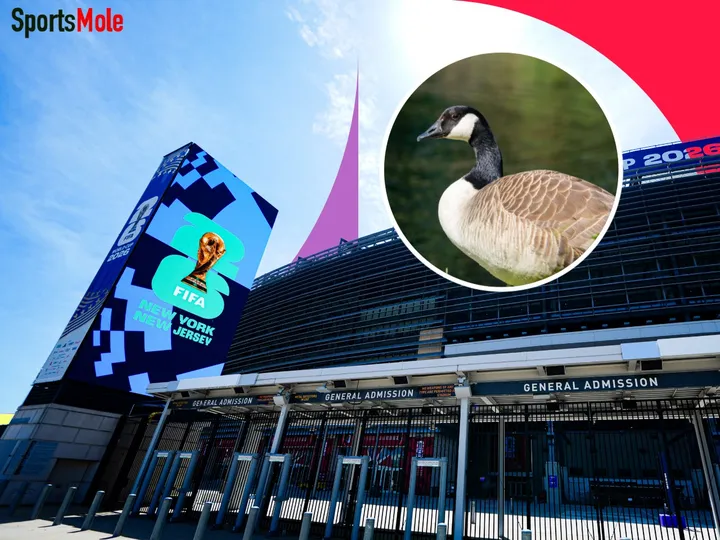 ‘Honk if you love geese’ activists bring unusual protest to World Cup spectacle at MetLife