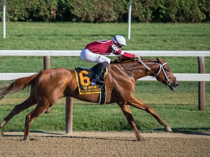 Learn to punt like a professional