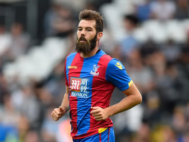 Joe Ledley fit to make Wales squad