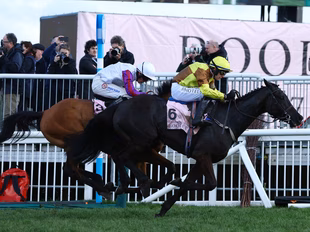 Cheltenham Festival 2024: Friday's tips and odds, including Gold Cup