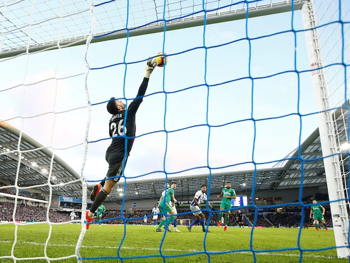 Foster stings Seagulls and earns a point for Hornets