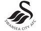 Feyenoord chase Swansea target