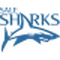 Sale Sharks