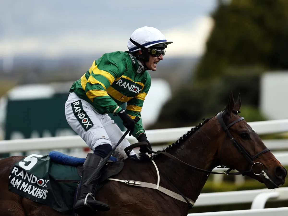 How many horses died at the 2026 Grand National?