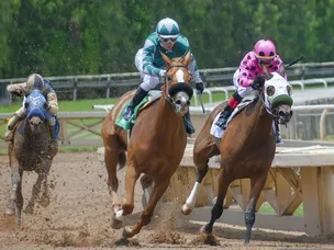 4 Reasons why Flightline is set to win The 2022 Breeders' Cup Classic