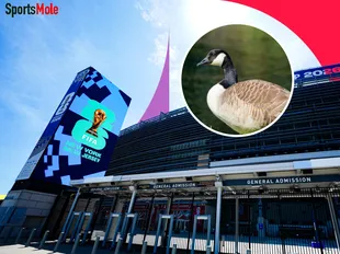 ‘Honk if you love geese’ activists bring unusual protest to World Cup spectacle at MetLife