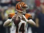 Bengals QB Andy Dalton in action against the Texans on January 5, 2013