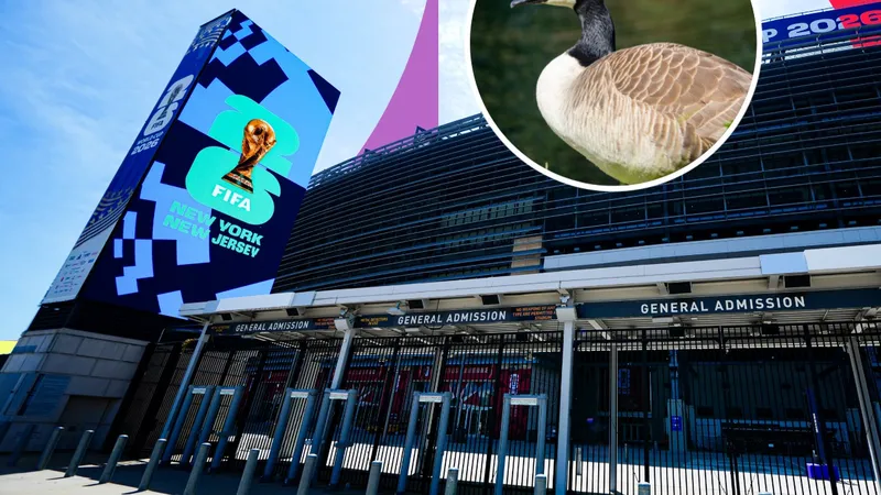 ‘Honk if you love geese’ activists bring unusual protest to World Cup spectacle at MetLife