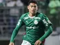 Palmeiras midfielder Luis Pacheco in May 2026.