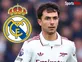 Real Madrid plotting £60m January move for Arsenal midfielder Martin Zubimendi
