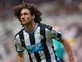 Coloccini linked with Olympiacos