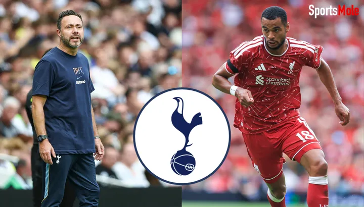 Next three signings Roberto De Zerbi wants at Tottenham as 'ideal end' to summer window now revealed - Sports Mole