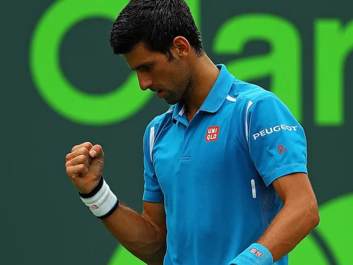 Djokovic overcomes Del Potro test
