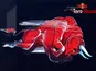 Toro Rosso