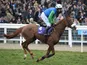 Jessies Dream ridden by Timmy Murphy at Ladies Day at Cheltenham on March 16, 2011