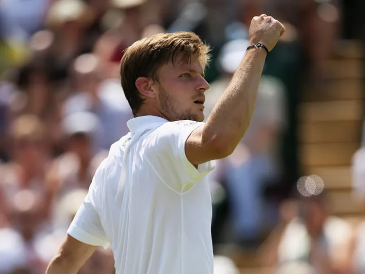 David Goffin through in straight sets