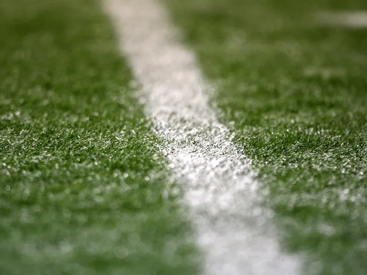 Artificial pitches proposal not approved