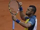Tsonga wins all-French tie in Paris