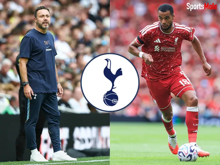 Next three signings De Zerbi wants at Spurs as 'ideal end' to summer window revealed
