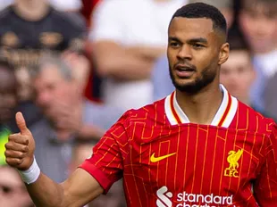 Gakpo to Spurs latest: Reds star reaches 'agreement in principle' to join Spurs