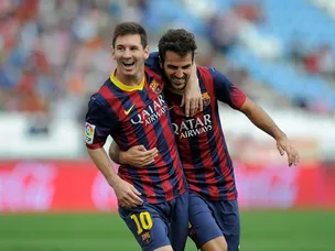 Fabregas suffers sprained knee