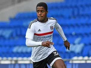 Fulham hammer Hull City in FA Cup