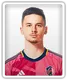Tomas Ostrak