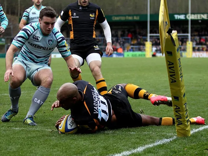 Wasps crush Mogliano