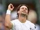 Ferrer through to Wimbledon quarters