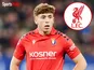 Victor Munoz/Liverpool composite