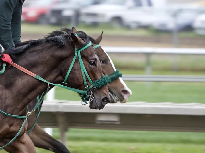 The Melbourne spring racing carnival and Melbourne Cup 2021