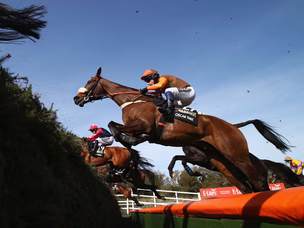 Oscar Time retires aged 14