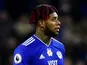 Cardiff City's Leandro Bacuna ictured in February 2019