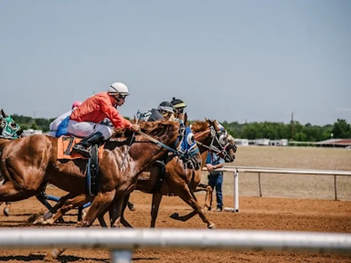 Get to know trainers with the most Belmont Stakes wins