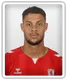 Rudy Gestede