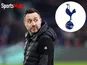 Roberto De Zerbi/Tottenham composite