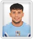 Gustavo Hamer