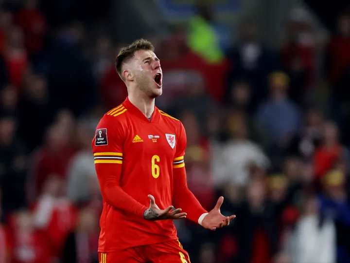 Joe Rodon joins Rennes on loan from Tottenham with option to buy