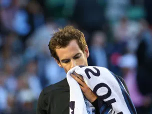 Rain halts Murray, Troicki semi-final