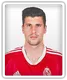 Stipe Perica