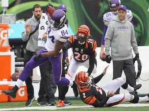 Bengals thrash sorry Vikings