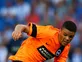Brighton recall Fenelon from Rochdale