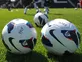 Referee 'jailed for trying to fix games'