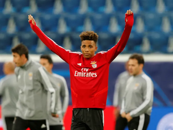 Tottenham complete Gedson Fernandes signing on 18-month loan