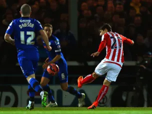 Mark Hughes admits Bojan concern