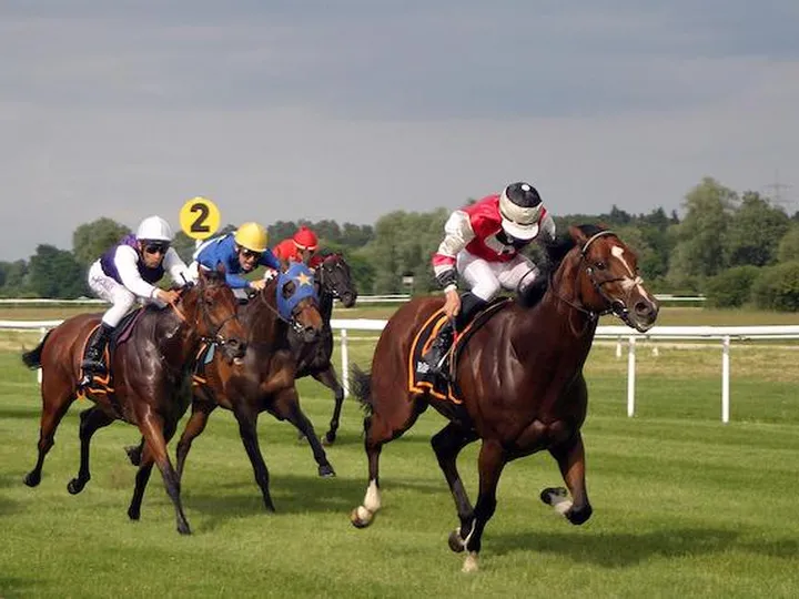 7 Amazing ways to enjoy the horse racing sport